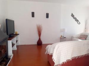 salon z łóżkiem i telewizorem w obiekcie Monte da Alameda w mieście Santa Luzia
