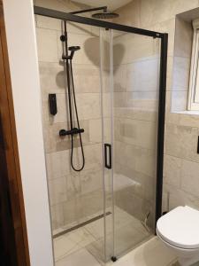 a shower with a glass door in a bathroom at The Walnut Tree in Hellevoetsluis