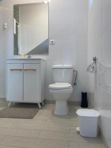 a white bathroom with a toilet and a mirror at Alfazema Sunset House in Vila Nova de Gaia +43 photos