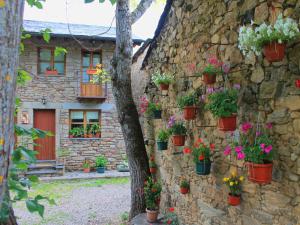 a stone house with flower pots on the wall at Casa rural El Trubio in Vigo de Sanabria +8 photos