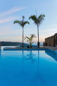 a swimming pool with palm trees in the background at Polo Cherrapunjee Resort in Cherrapunji