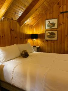 a bedroom with a bed with a cat laying on it at The Wombat Cottage in Tullah