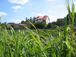 a house in the middle of a field of grass at Dom pod Czarnym Bocianem in Tykocin