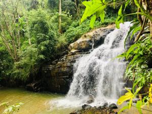 a waterfall in the middle of a jungle at River Splendour Home Stay in Ella
