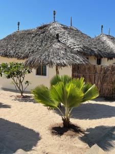 a hut with a palm tree in front of it at Mambrui Golden Beach Bar and Cottages in Mambrui