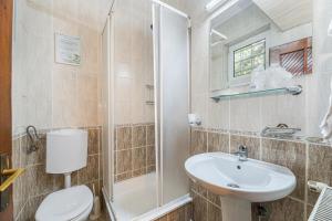 Koupelna v ubytování Pension Casa Bradul