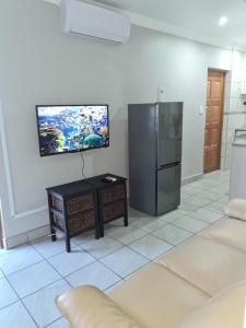 eine Küche mit einem Kühlschrank und einem TV an der Wand in der Unterkunft The Honeycomb in Kimberley