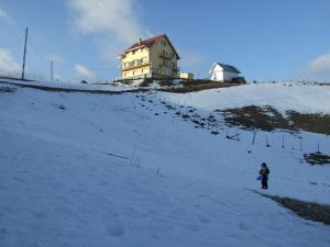 Gallery image of Pensiunea Pui de Urs Sirnea in Fundata