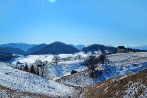 Gallery image of Pensiunea Pui de Urs Sirnea in Fundata