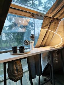 Fotografie z fotogalerie ubytování Kupolmāja Ārpus laika - Domehouse in the forest v destinaci Tīnūži