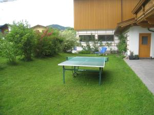 Stolní tenis v ubytování Mesnerhof nebo okolí