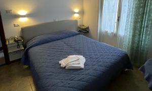 Postel nebo postele na pokoji v ubytování Hotel Europa