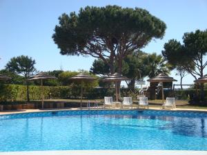 una piscina con sillas y sombrillas en Bicos U by Check-in Portugal, en Albufeira