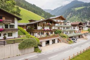 a row of houses on the side of a road at Appartements-Klaus in Neustift im Stubaital