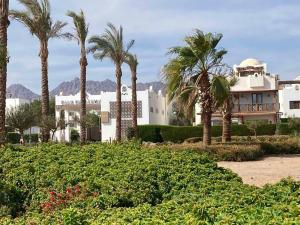 een groot wit gebouw met palmbomen en struiken bij Diar El Rabwa Modern Apartment with Free WiFi and Private Balcony in Sharm El Sheikh
