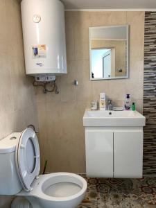 A bathroom at CENTER APARTMENT PLOVDIV