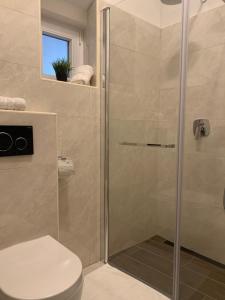 ein Bad mit einer Dusche und einem WC in der Unterkunft Royal Vega Apartment in Ljubljana