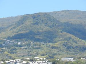 Imagine din galeria proprietății Le Lobellia à Sainte Clotilde centre în Sainte-Clotilde