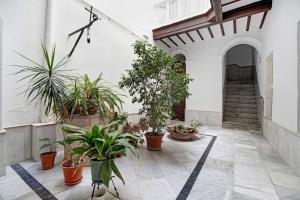 Vonkajšia záhrada v ubytovaní Piso con Encanto