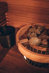 普哈圣山皮哈冰屋度假村的相册照片