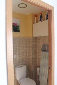 a bathroom with a white toilet and a shower at Casa Alisios in Telde