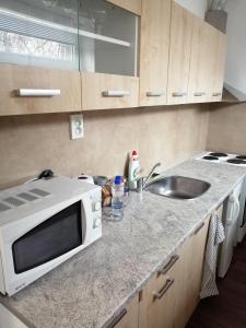 Kuchyň nebo kuchyňský kout v ubytování Apartmány U Stříbrných