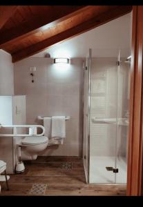 een badkamer met een toilet en een glazen douche bij APARTHOTEL STREMBO in Strembo