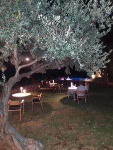 a group of tables and chairs under a tree at night at Yialasi Hotel in Ancient Epidavros