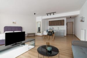 Leochares Lifestyle Apartments - Self check-in的厨房或小厨房