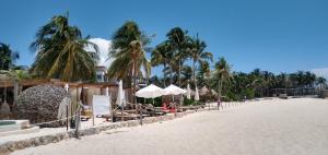a beach with chairs and umbrellas and palm trees at Suites calle 38 in Playa del Carmen