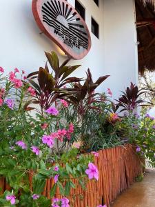 Zahrada ubytování Mis Sueños Holbox