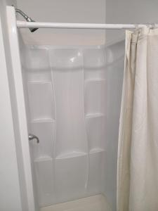 a bathroom with a shower with white shelves and a toilet at Clarysville Motel in Frostburg +86 photos