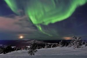 una imagen de la aurora bailando en el cielo en Arctic Star Levi - Lumitähti, en Levi