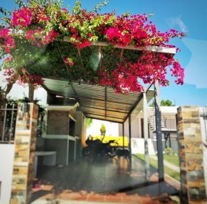 a patio with pink flowers in a hanging basket at Monoambiente “Lo de Tere” in Colonia del Sacramento +8 photos