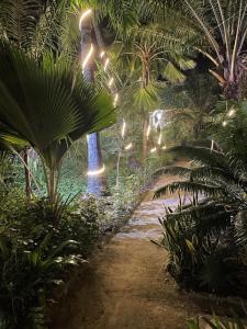 a garden at night with palm trees and lights at Ndaary Khassoum in Ziguinchor