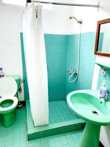 Un baño con inodoro, lavabo y ducha. en Charming Apartment in Flic en Flac – 50m² with Pool, en Flic en Flac