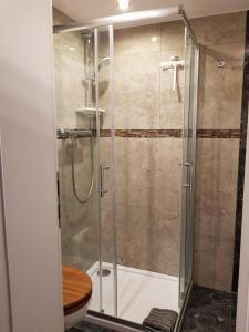 a glass shower with a toilet in a bathroom at Apartment Luxus "Akzente-Art Minden" in Minden +36 photos