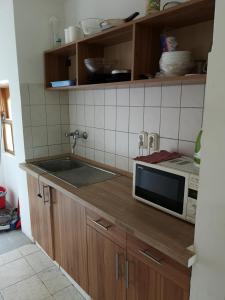 uma cozinha com um lavatório e um micro-ondas em Rózsa Vendégház Vadkerti tó em Soltvadkert