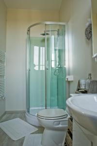 ein Bad mit einer Dusche, einem WC und einem Waschbecken in der Unterkunft Le Manoir de Crisolles in Crisolles