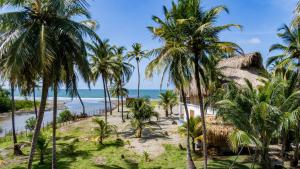 een uitzicht op een strand met palmbomen en de oceaan bij Rainbow Hostel in San Bernardo del Viento