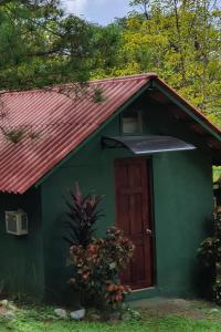 una casa verde con techo rojo y puerta en LOS PINOS DE TORIO en Torio