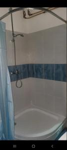 a bathroom with a shower and a bath tub at Apartman Vuk in Pale