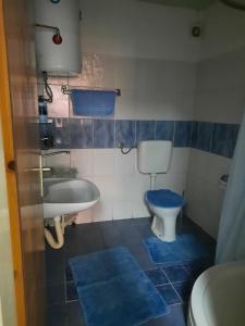 Łazienka z toaletą i umywalką z niebieskimi dywanami w obiekcie Apartman Vuk w mieście Pale