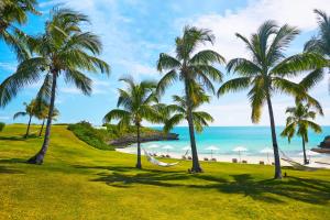 una hamaca entre palmeras en una playa en The Cove Eleuthera, en Gregory Town