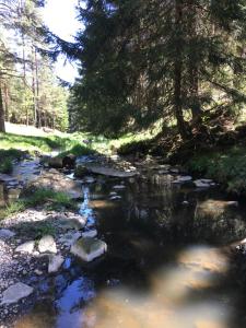 Paesaggio naturale nelle vicinanze dell'appartamento