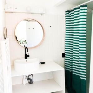 ein Bad mit einem Waschbecken, einem Spiegel und einer Dusche in der Unterkunft Appart sous les pins 600m plage in Longeville-sur-Mer
