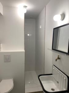 uma casa de banho com um WC, um lavatório e uma televisão em Dortoir de charme 12 lits 600m plage em Longeville-sur-Mer