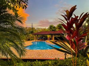 Bazén v ubytování Private Tropical Paradise - Gatuncrocs nebo v jeho okolí