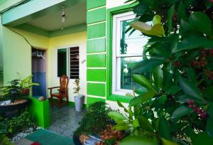 土格加勞的住宿－RedDoorz D128 Lodge Cagayan Valley，绿色和黄色的房子,有窗户和植物