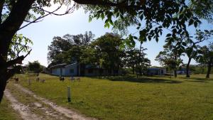 un campo con una casa y animales en el césped en Los Arboles, casa completa a 5 minutos del Aeropuerto Ezeiza en Ezeiza